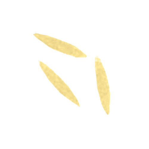 Arcobaleno AEX130 & AEX130M#307 Pasta Die