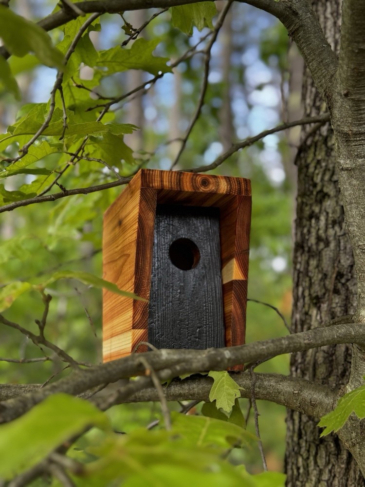 Bird Houses