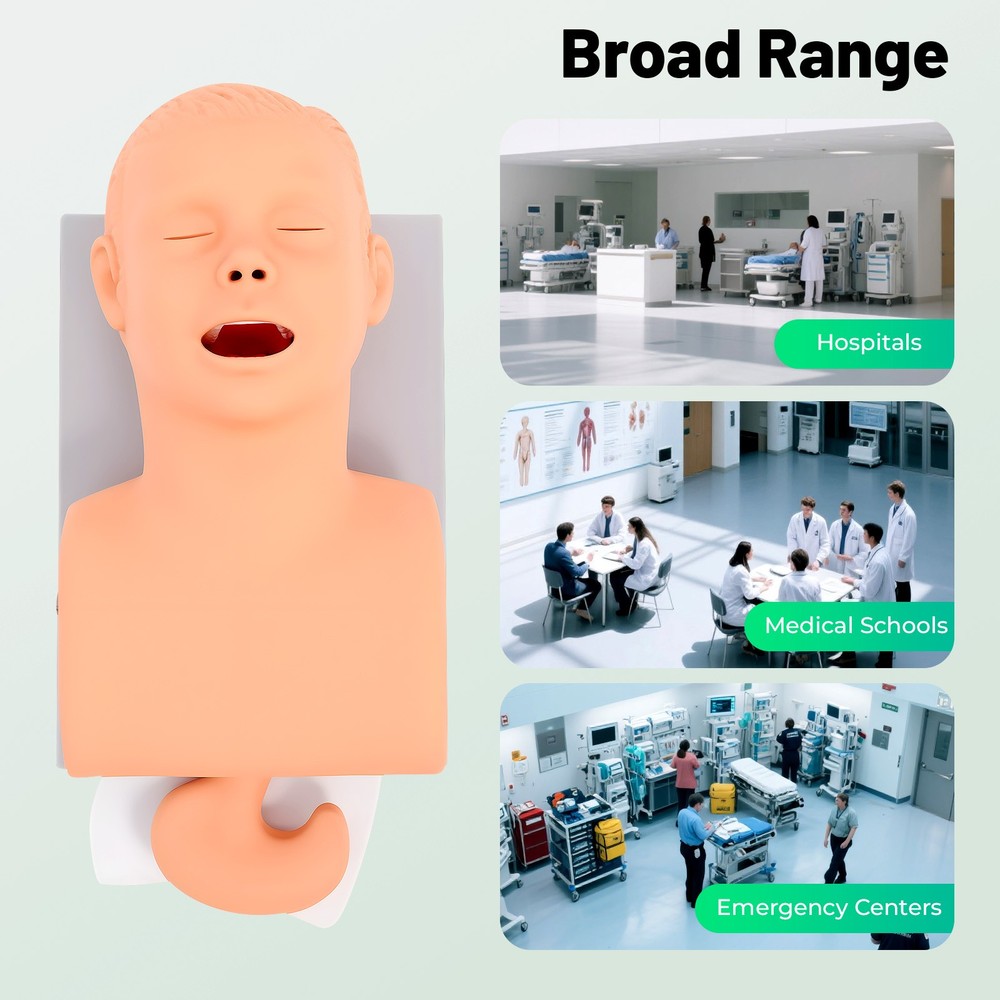 Intubation Model Lab Intubation Airway Management Training Model Teaching Model