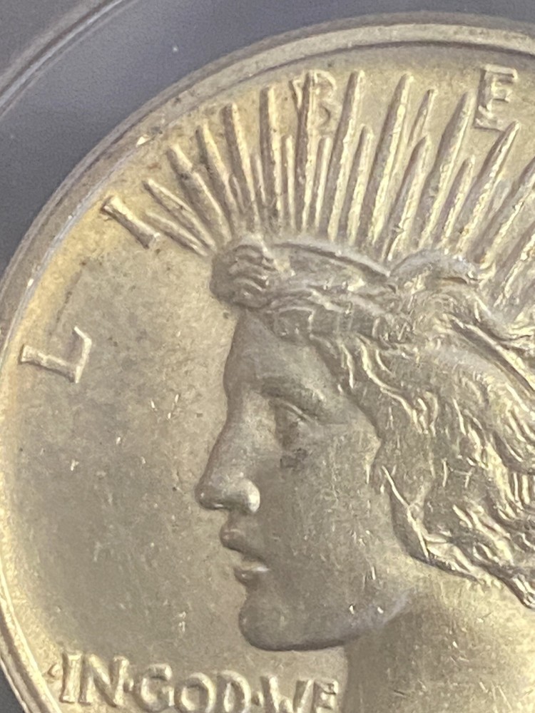 1921 Silver Peace $1 Dollar ~ ANACS Graded MS 60