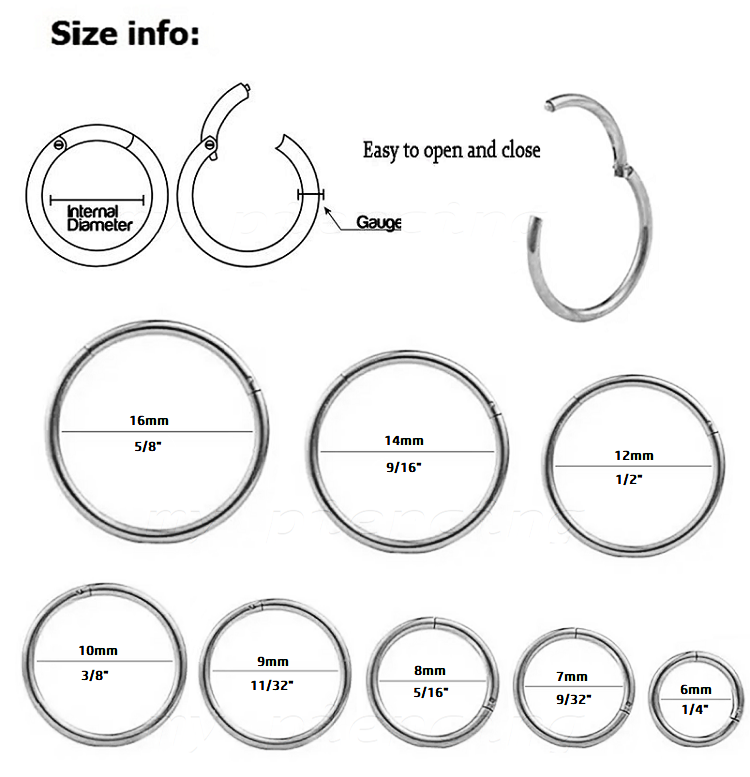 Hinged Seamless Segment Ring Hoop Earring Cartilage Tragus Labret Septum