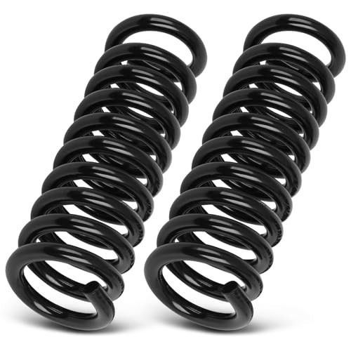 2PCS Rear Suspension Coil Spring Set Compatible with 2006-2010 for Dodge