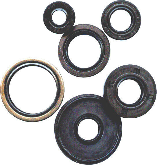 Vertex 822168 Oil Seal Set