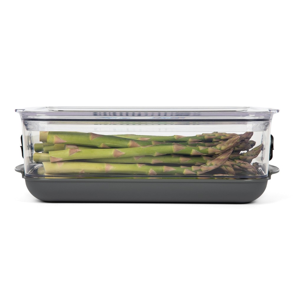 ProKeeper Stackable Produce ProKeeper Storage Container with Stay-Fresh Vent ...