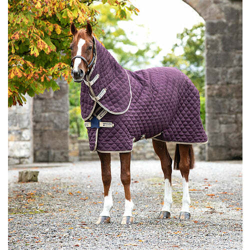 Horseware Amigo Stable Plus-Disc Front Closure Medium 200g CLOSEOUT
