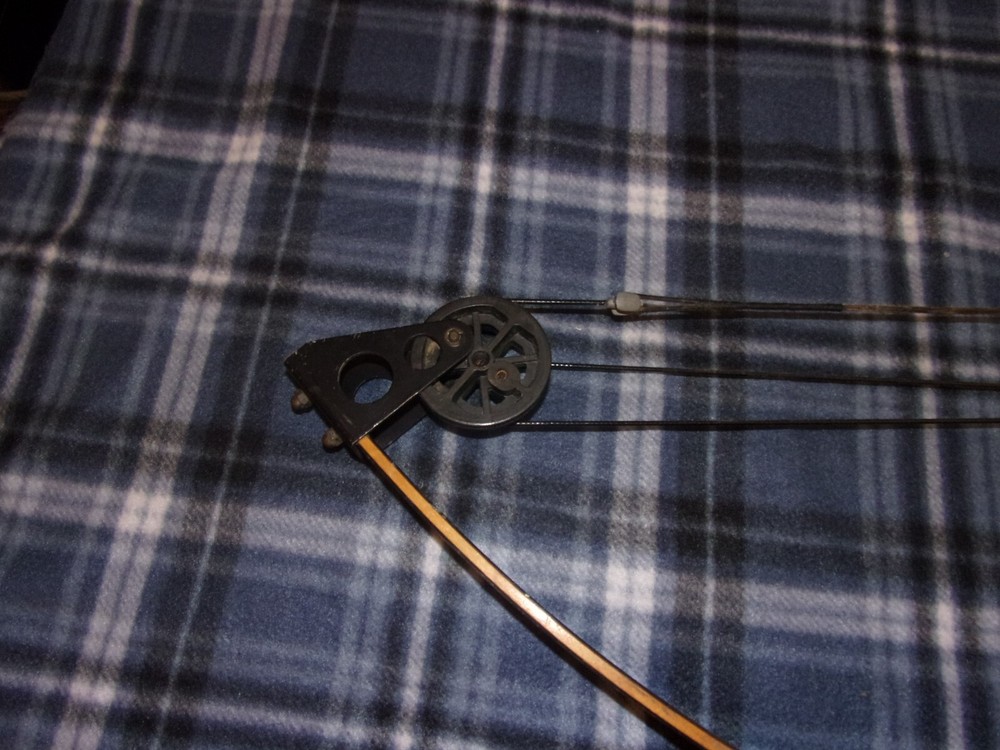 Darton 40B Compound Bow