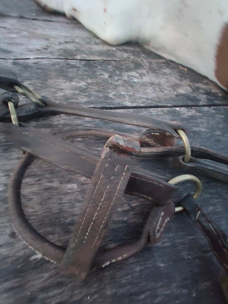 Horse Halter, Vintage Damaged