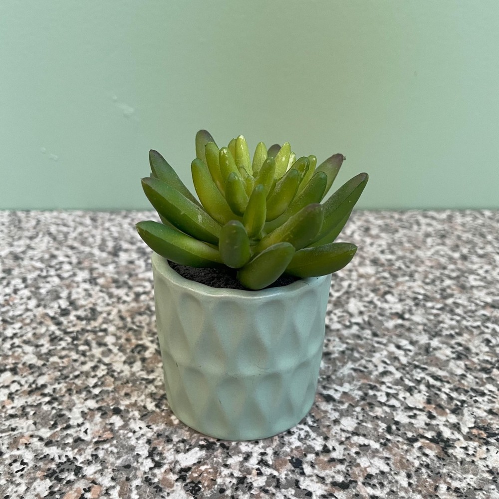 Small Ceramic Succulent Planter Pot Tiny Flower Plant Home Decor