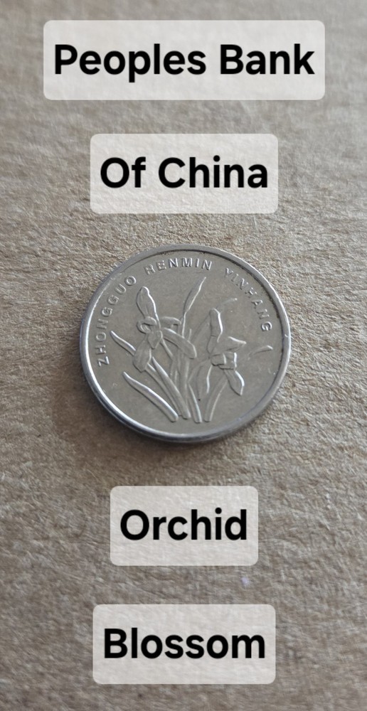 China 2009 One Jiao Coin