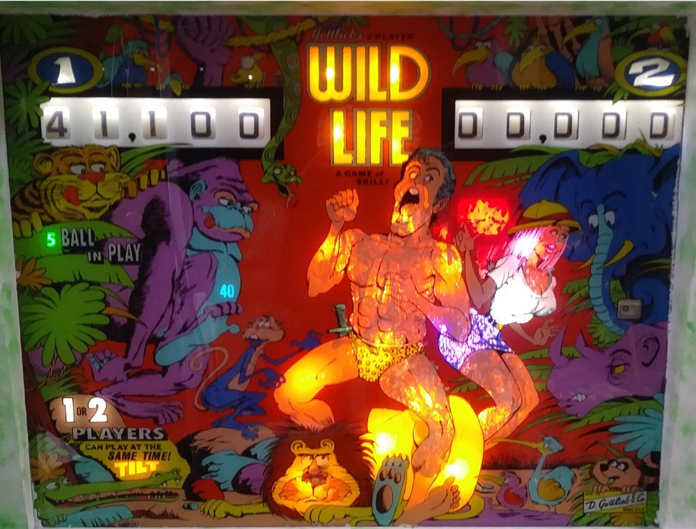WILD LIFE Complete LED Lighting Kit custom SUPER BRIGHT PINBALL KIT
