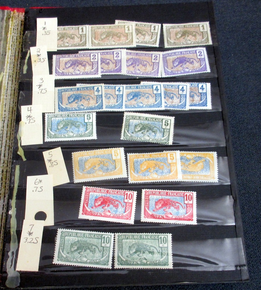 Middle Congo (Pre-Republic) BONANZA Stock Book