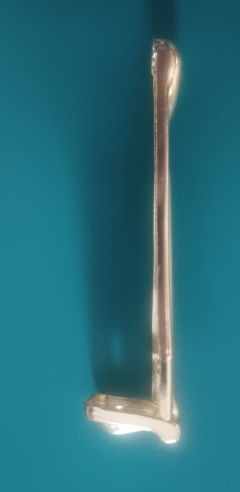 Large Cases Hinge, brass w/rivets