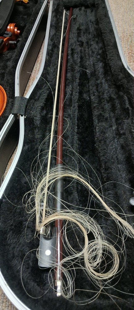 Student Violin with Hard Case