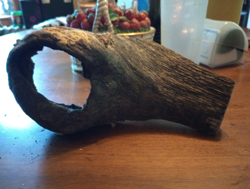 Weird And Mysterious Nature Spirit Seer Tool