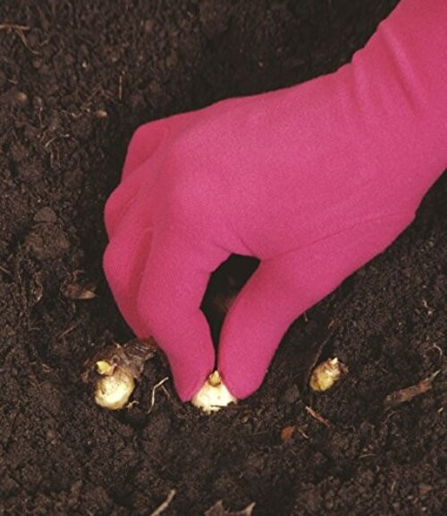 Original Gardening Gloves (Spring Green, Small)