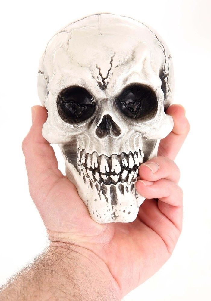 Set of 3 Large Skulls