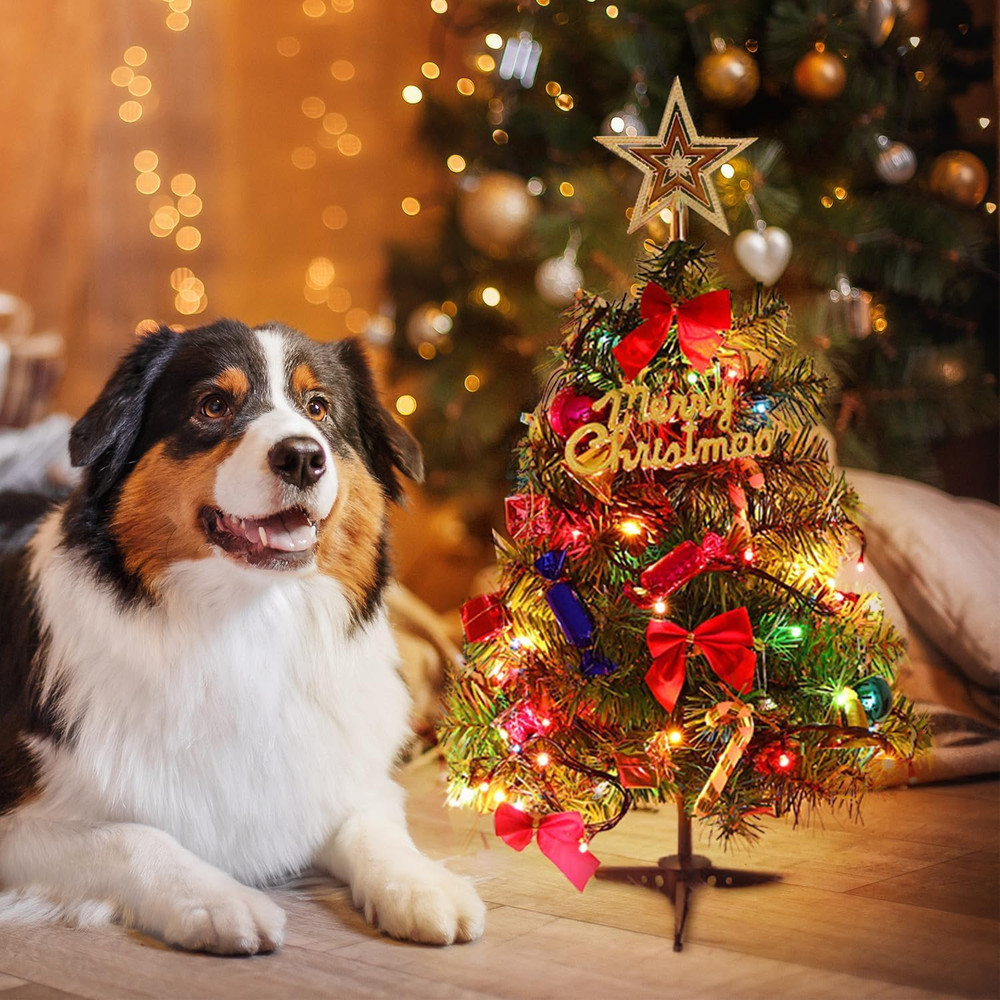 20 Inch Christmas Tree with Light Small Table Top Christmas Tree with LED String