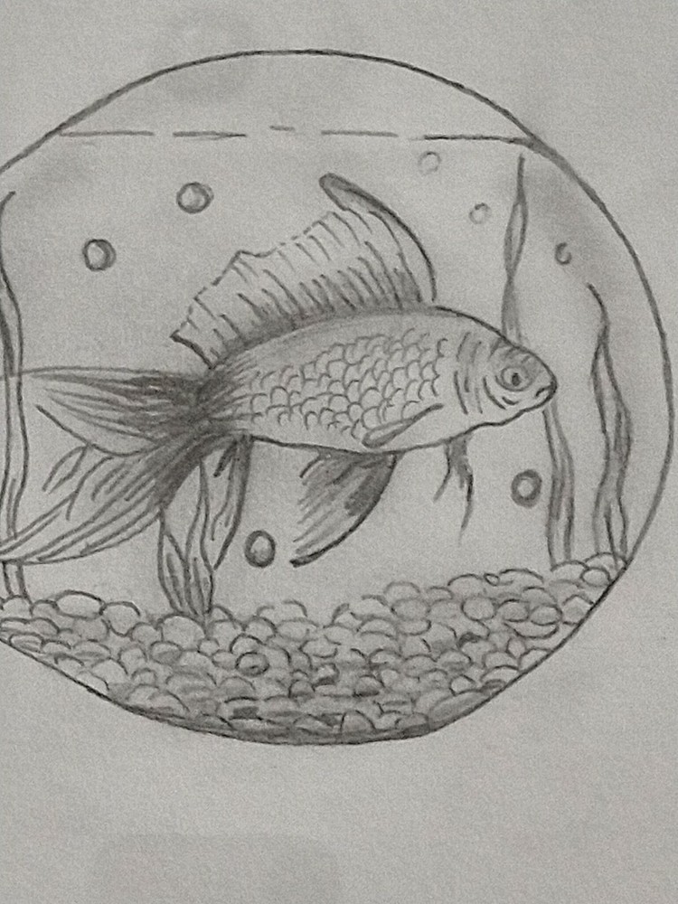 Framed Pencil Sketch Goldfish In A Lightbulb