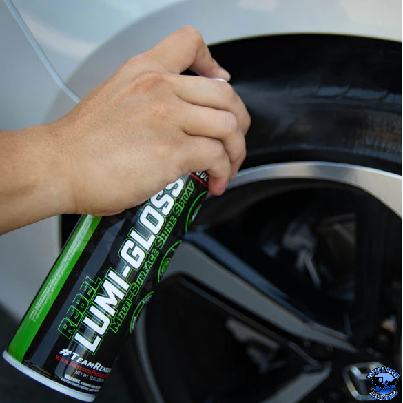 Renegade Lumi-Gloss Multi-Surface Shine Spray