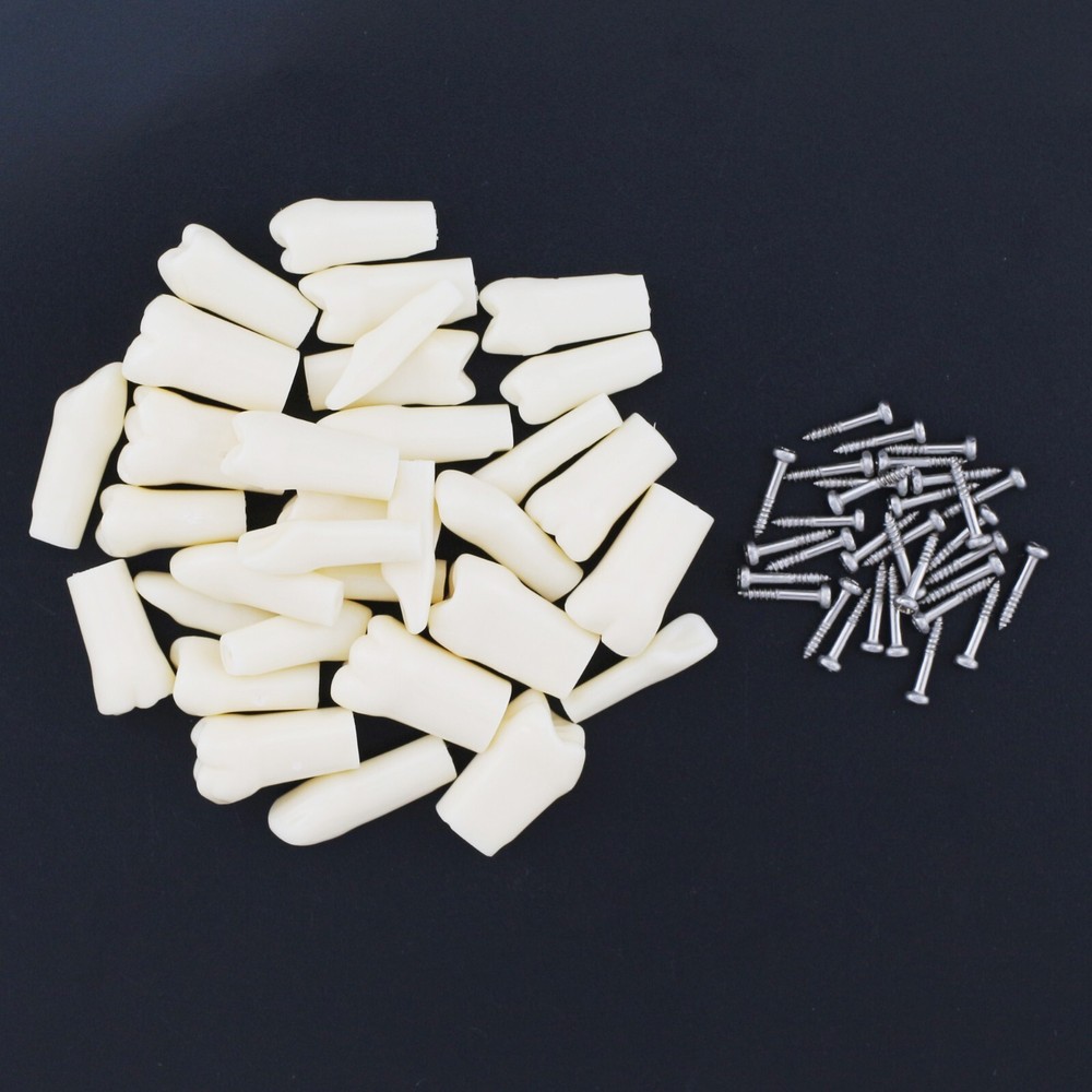 Kilgore Nissin 200 Type Dental Typodont 32PCS Teeth Replacement Training Model