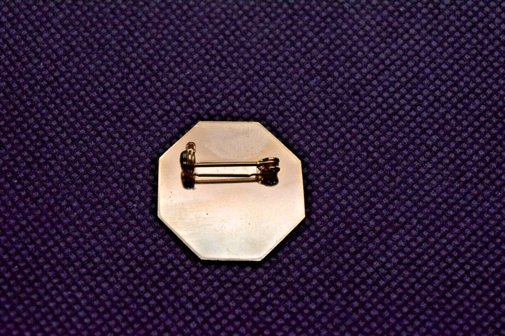 No Guts Not Glory Go For It Ski Pin