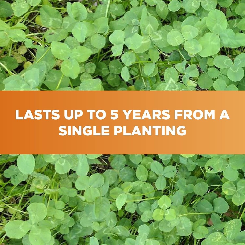 Imperial Clover Deer Food Plot Seed, 2 lbs - High-Protein & Antler Growth