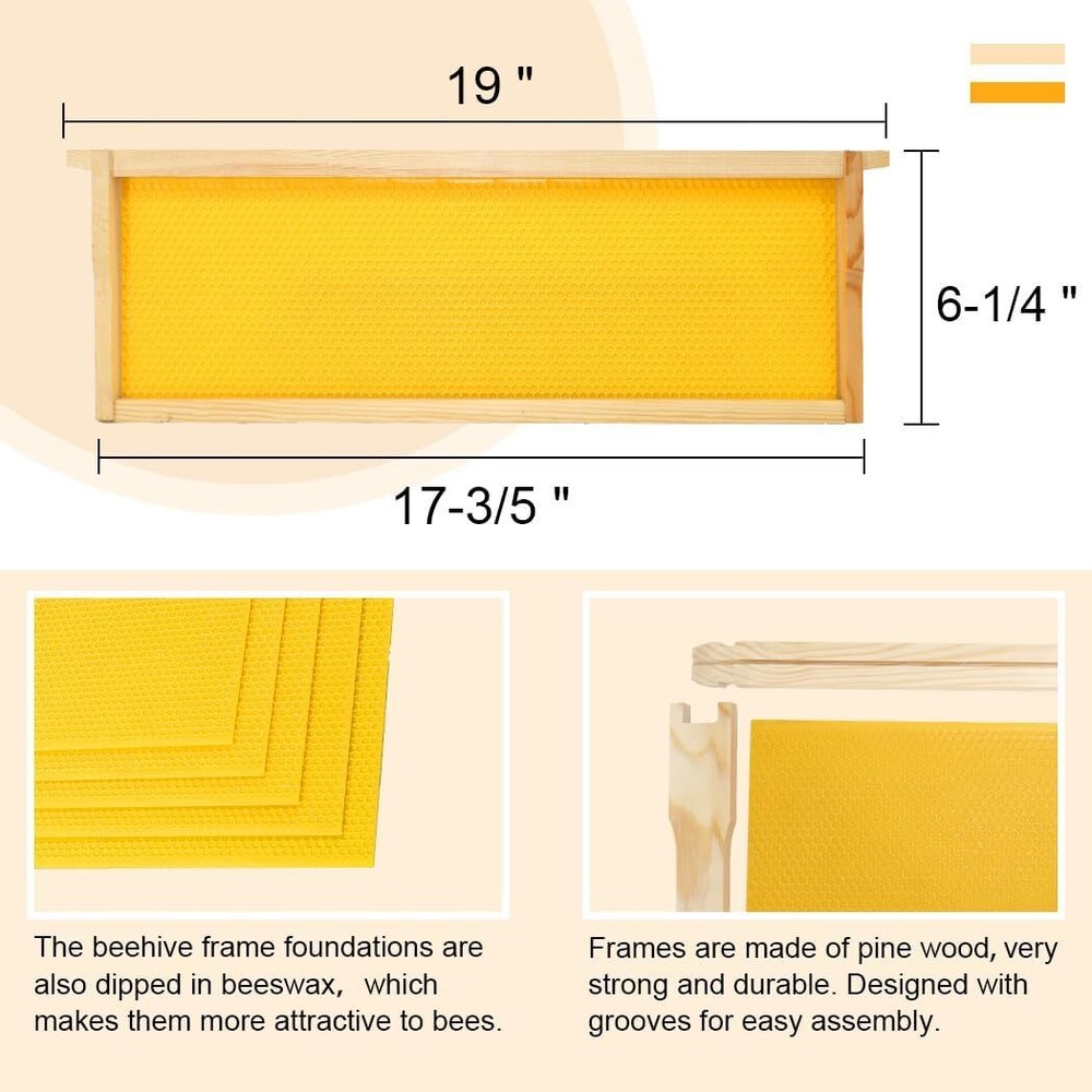 8 Frame Langstroth Medium Super Bee Hive Box w/ Frames & Wax Sheets Unassembled