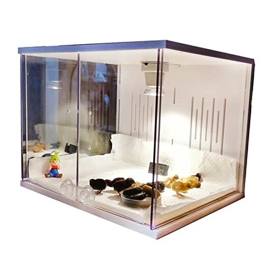 Chick Brooder Brooder Box for Chicks Incubator for Chicks