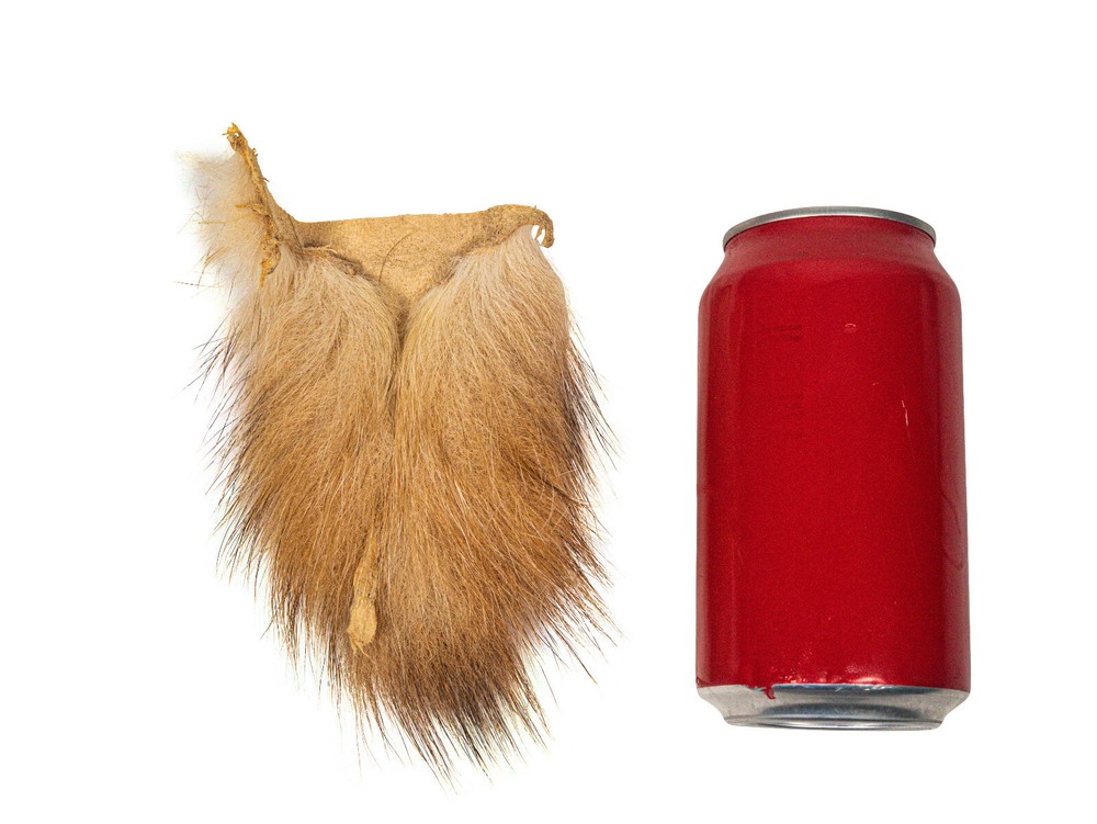 Medium Badger Tail (18-01-M) Y1K