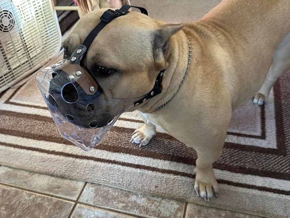 Pitbull Muzzle, Basket Muzzle for Lar Dogs Rottweiler to