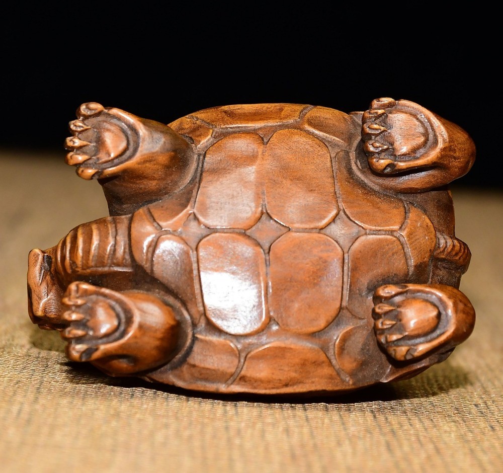 Collected Small Leaf Boxwood Dragon Turtle Handle