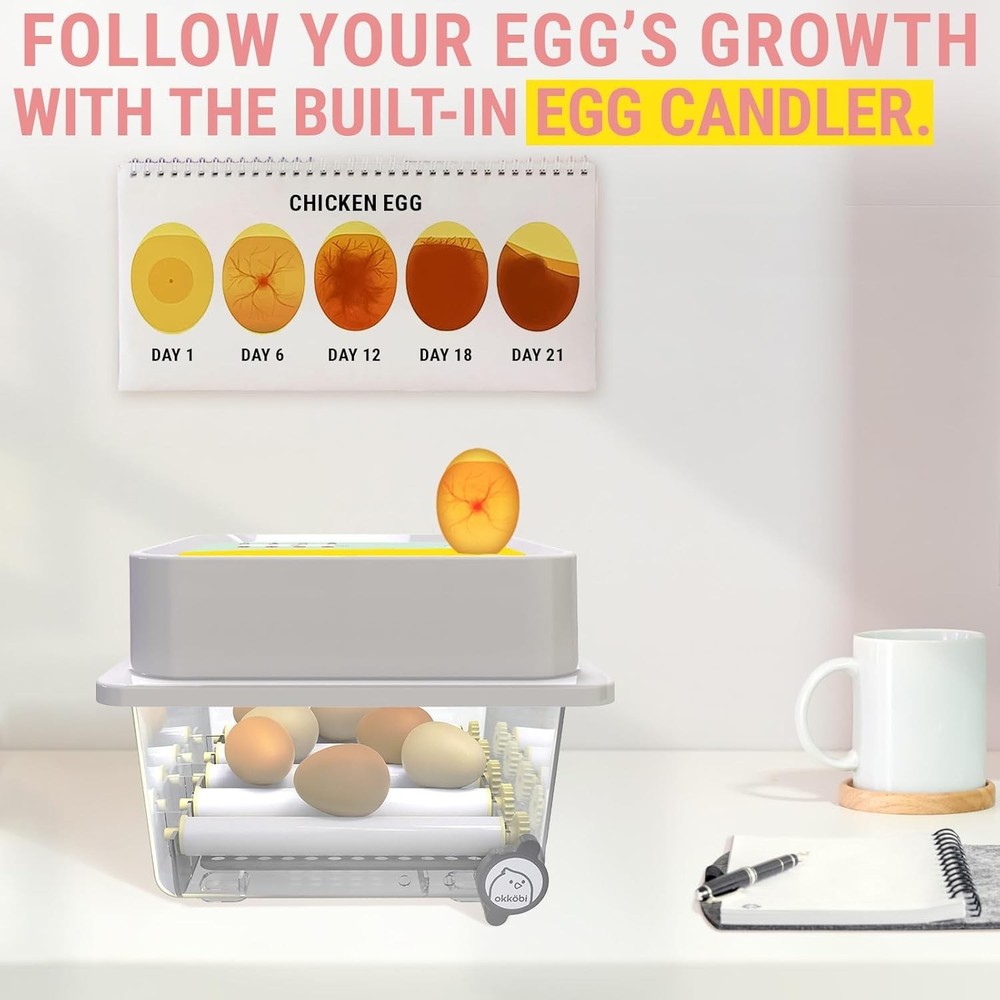 OBI-12 Egg Incubators for Hatching Eggs – Incubator for 12 Eggs with Automatic