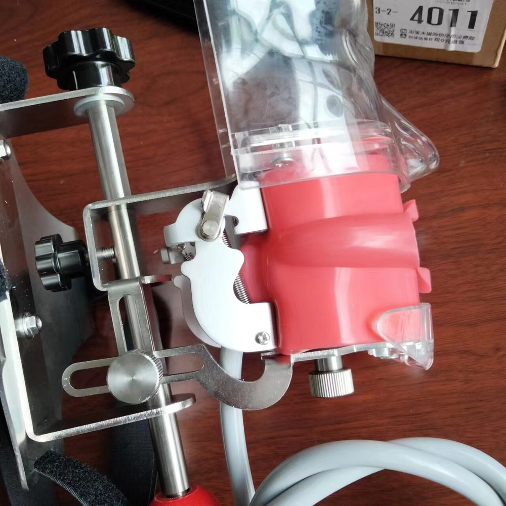 Dental Simulator Phantom Head Model Dental Preparation Support Display