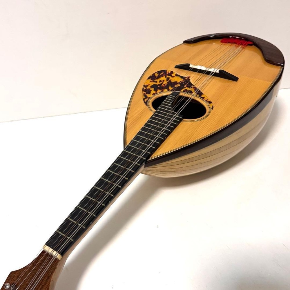 Good condition MONOPIA Mandolin with hard case