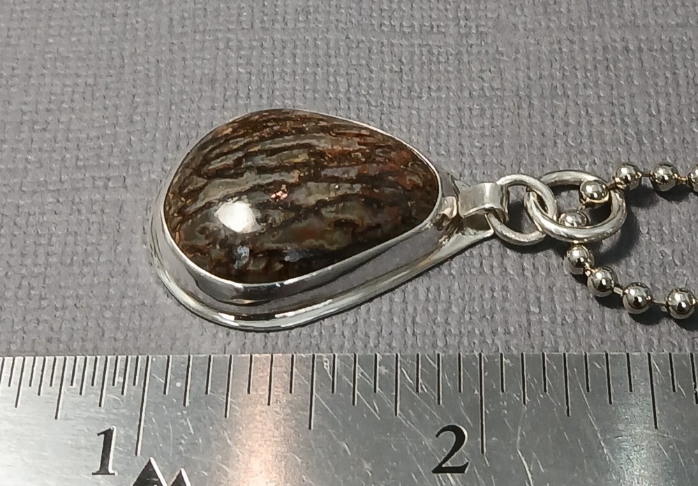 Dinosaur Bone Cabochon Set in Sterling Silver