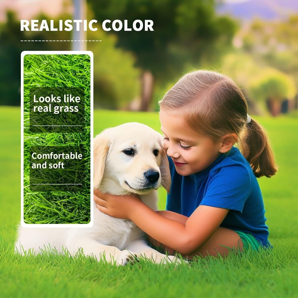 Multi-Purpose Realistic Artificial Grass for Gardens and Dog Training - 3' x 5'