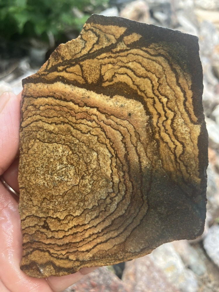 Deschutes Jasper Slab