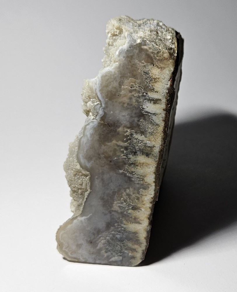 Polished Plume Agate Rough Display Specimen 429 Grams