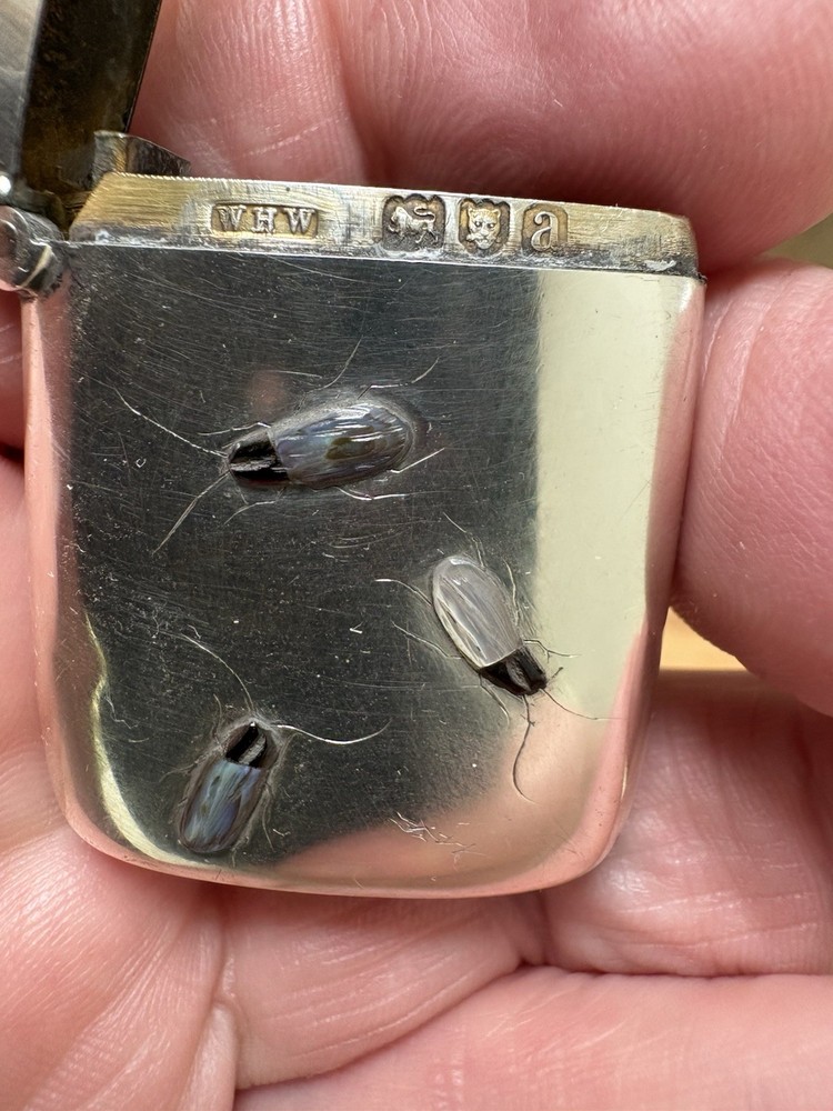 Solid Silver Hallmarked Vesta Case with Shibayama Design To Front.