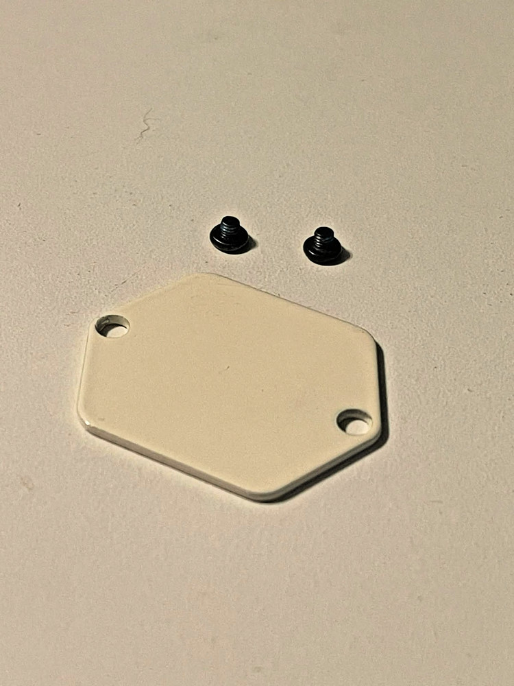 Temple Audio Side Plate with Hardware (White, Small)