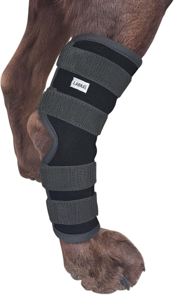 Protective Compression Wrap for Dog Hock Joint - Relief for Arthritis & Injuries