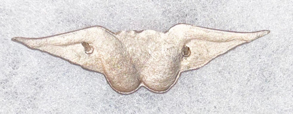 Vietnamese Made Bush Pilot Wing