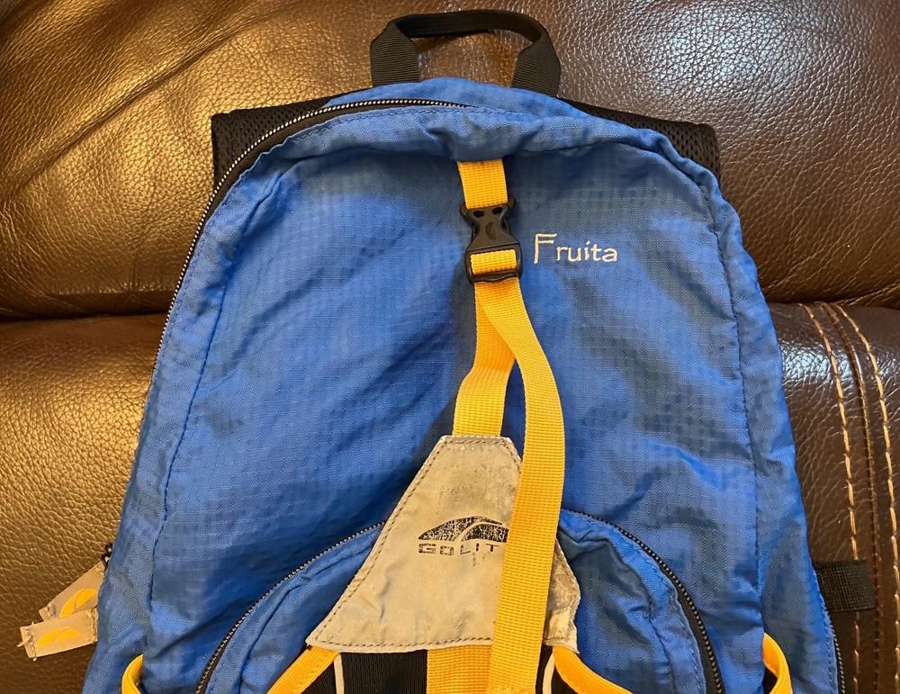 Go-Lite Daypack Backpack, Hiking/Camping/Outdoors, Great Condition