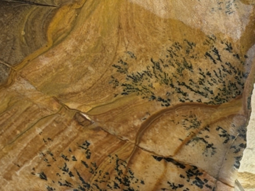 Dendritic Biggs Jasper Slab, Lot #285