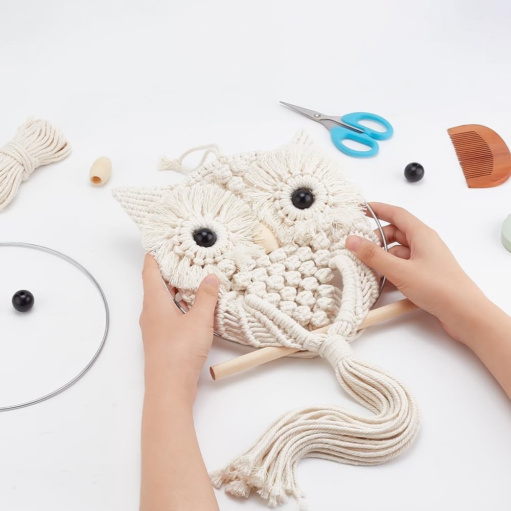 Macrame Owl Kit for Beginners Macrame Wall Hanging Kit DIY Macrame Kit with V...