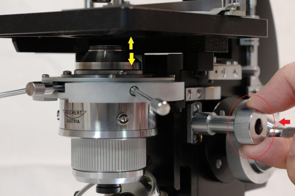 Carl Reichert's phase contrast microscope (BIOZET)