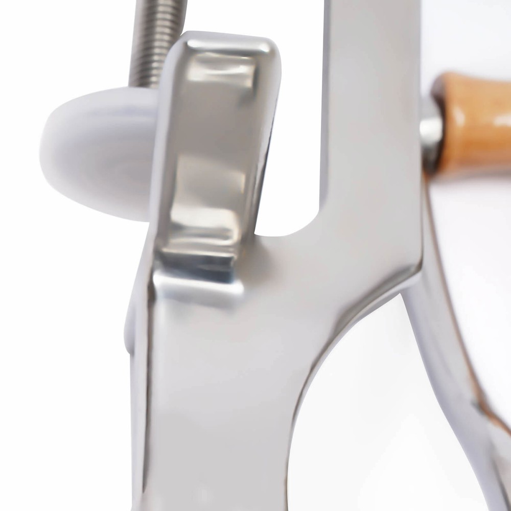 Manual Wheatgrass Juicer Hand Press Wheat Grass Fruit Juicing Extractor Silver