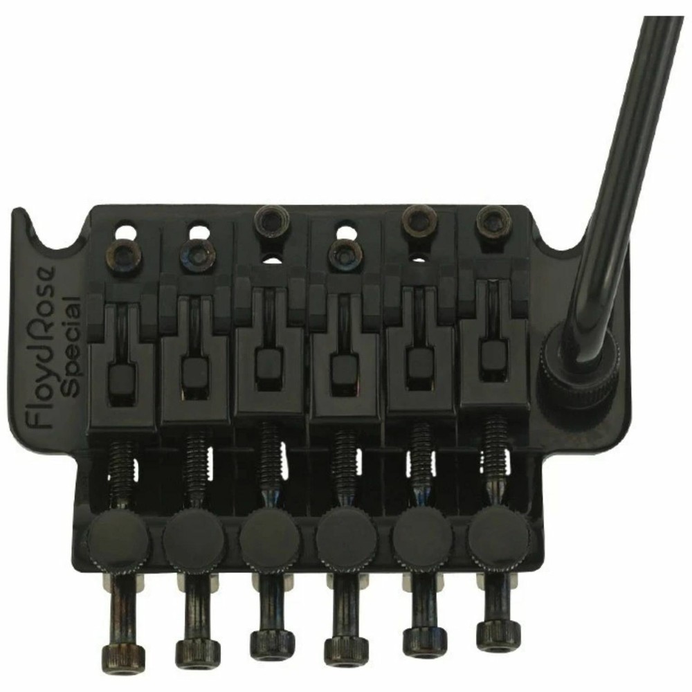 Floyd Rose FRTS2000 Special Series Tremolo System, Black