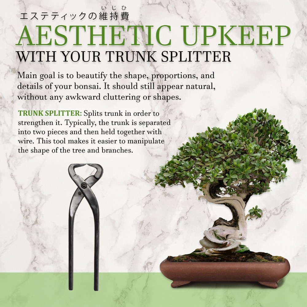 Bonsai Tree Trunk Splitters