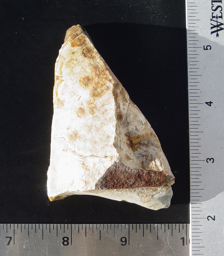 Lace Agate Small Lapidary Rough 1476